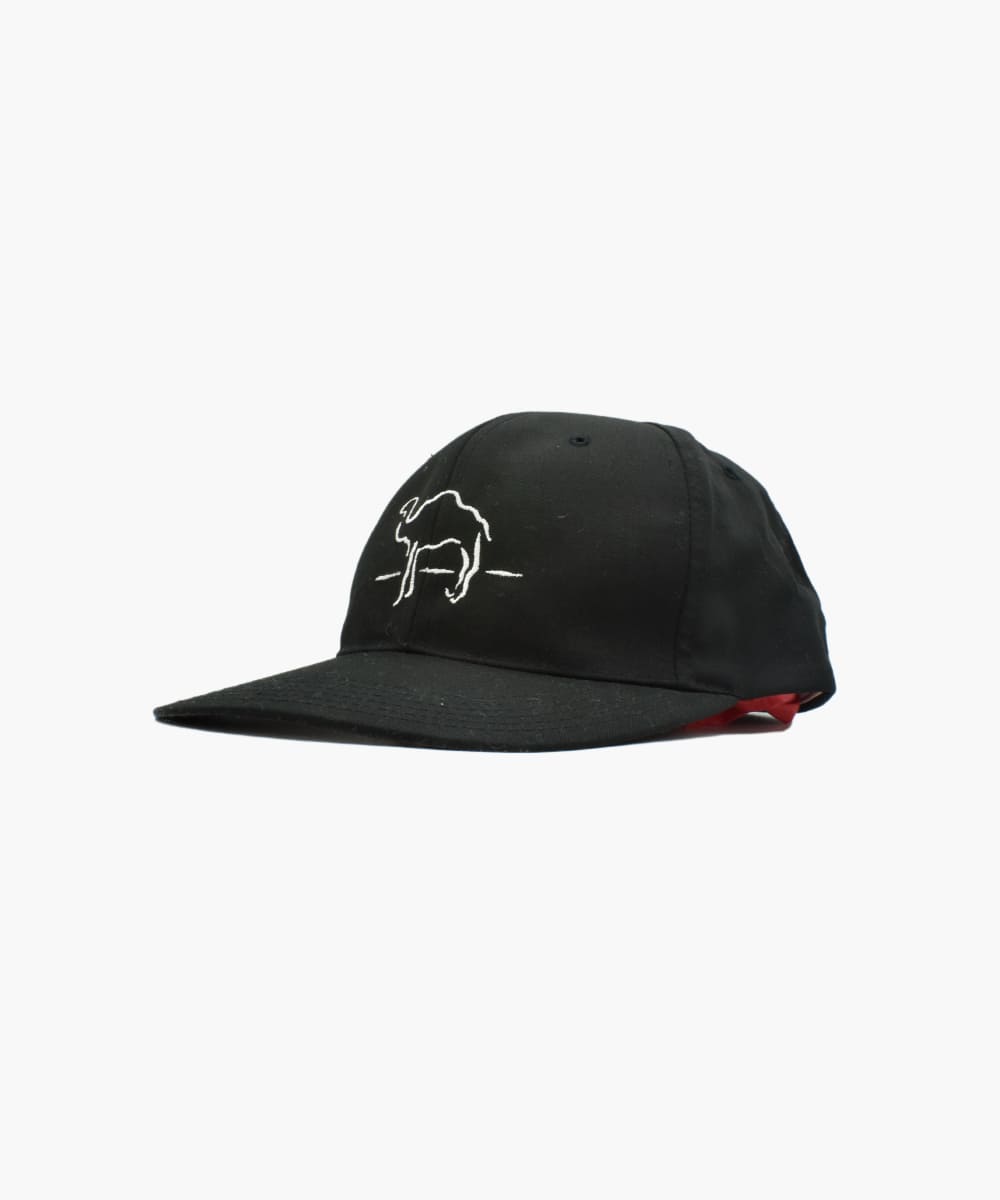 CAMEL Cap