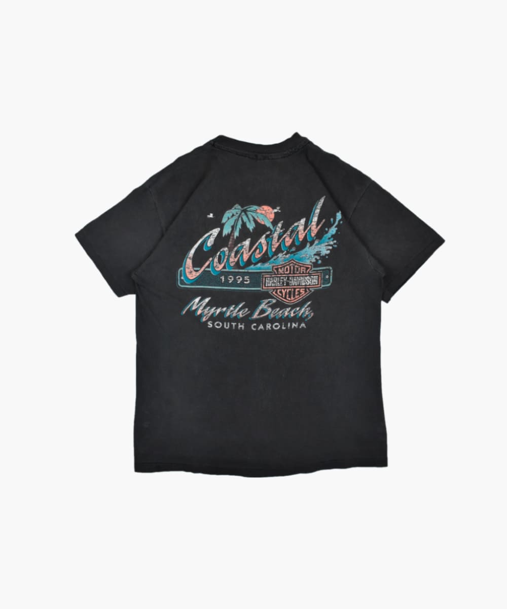 Camiseta HARLEY DAVIDSON 1995 (L)