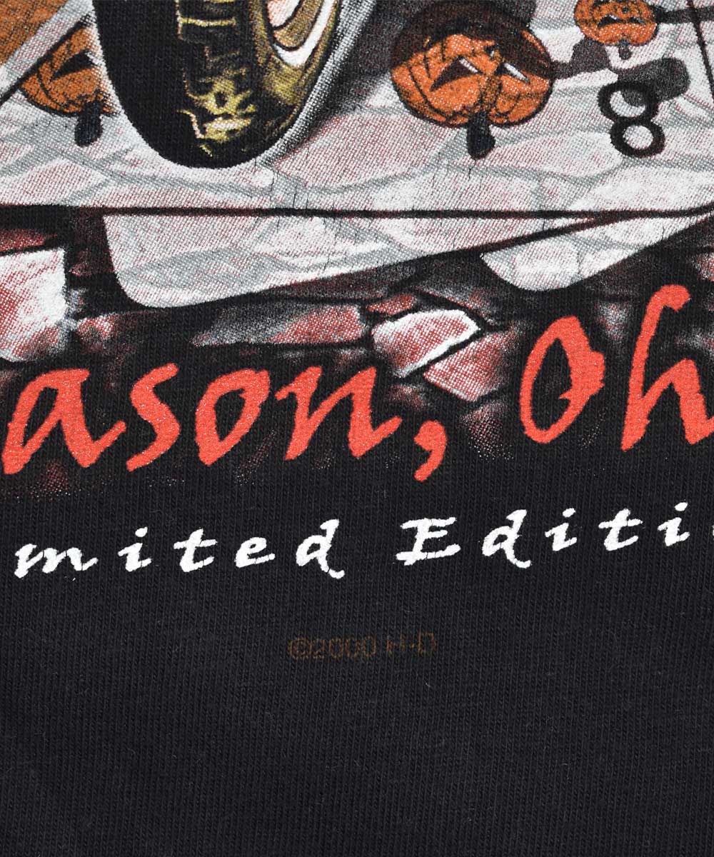 2000 HARLEY DAVIDSON Vintage Long-Sleeve Shirt (XL)