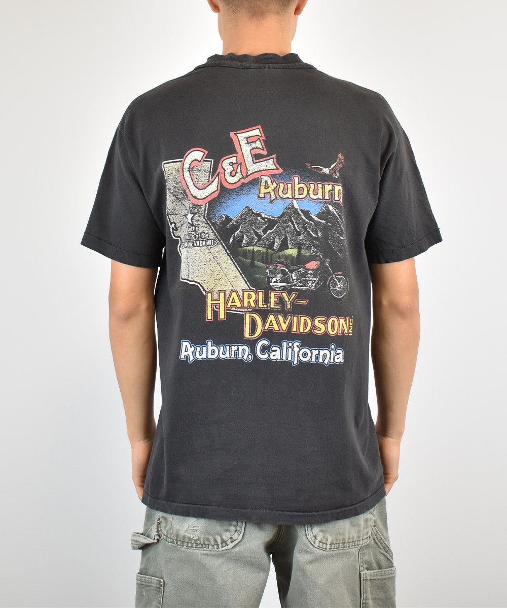 Camiseta HARLEY DAVIDSON 1992 (M)