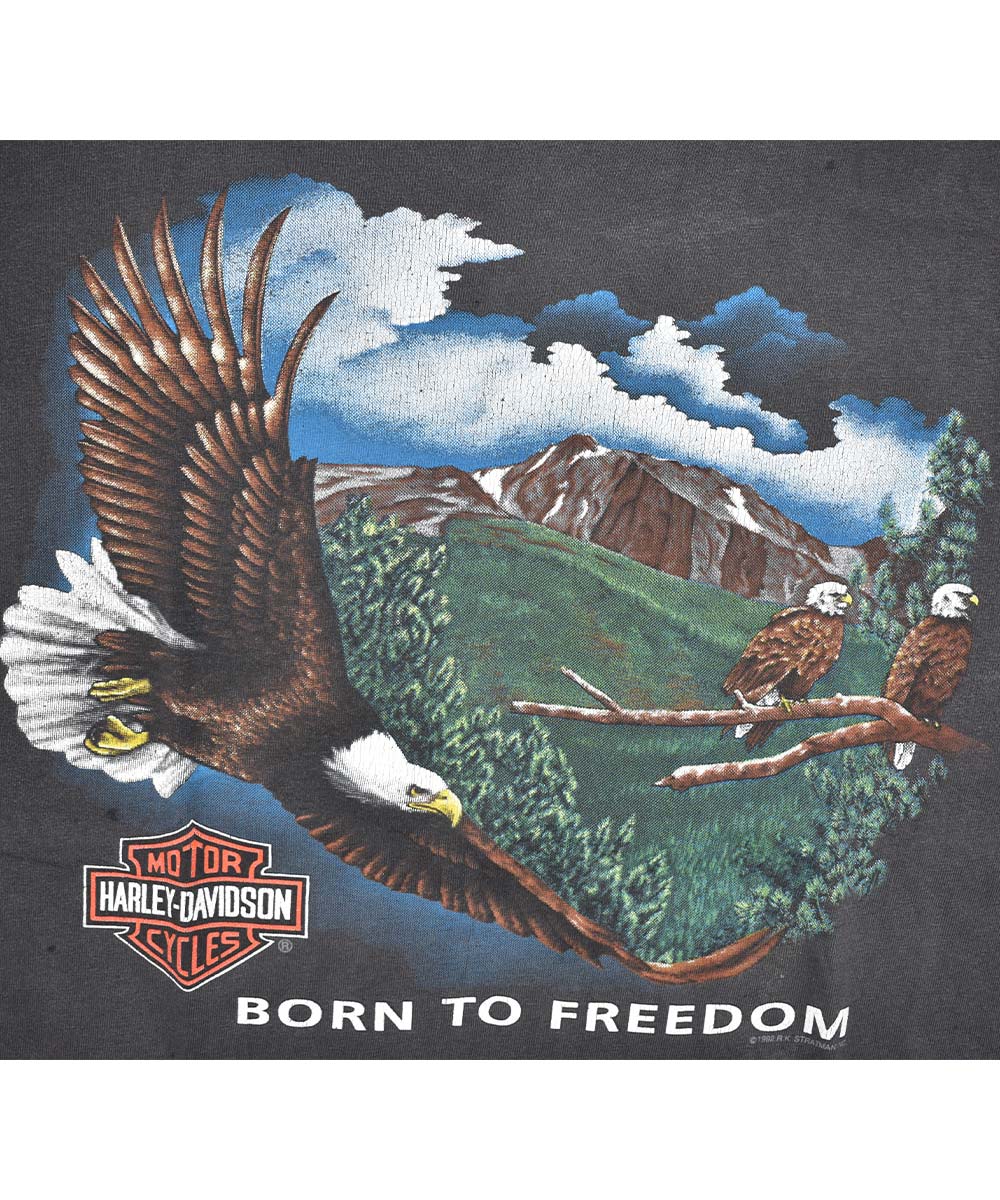 Camiseta vintage HARLEY DAVIDSON 1992 (L)