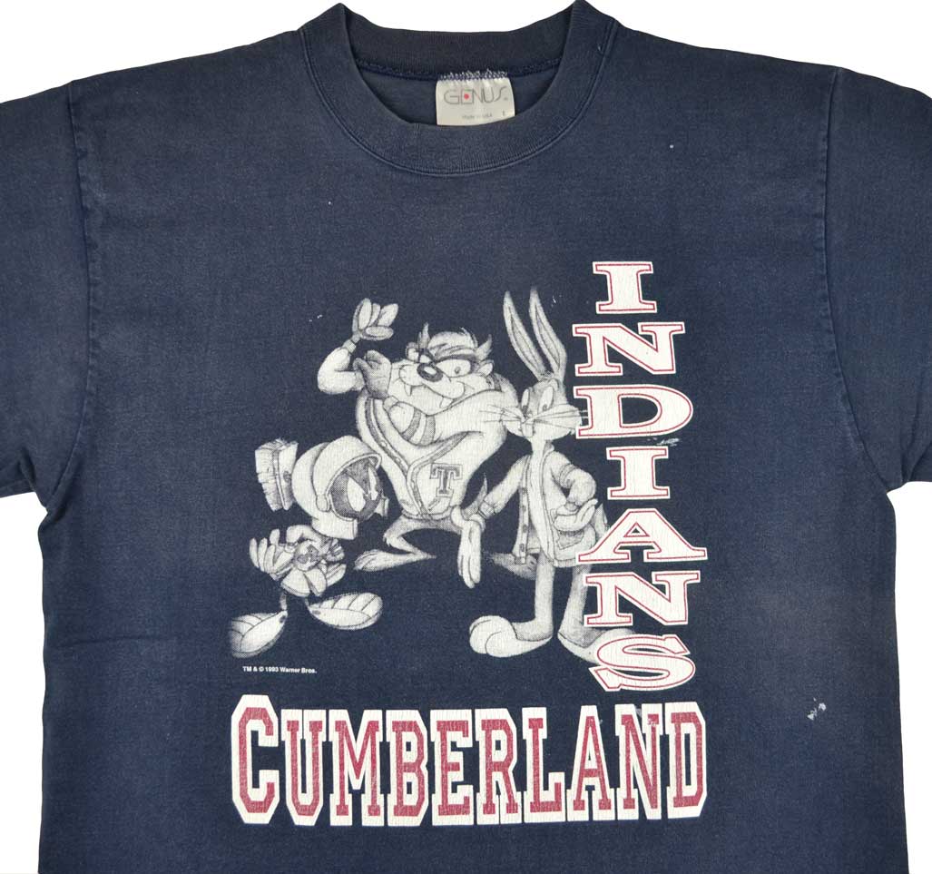 Vintage Warner Bros "Indians Cumberland" 1993 Shirt Vintage Warner Bros "Indians Cumberland" shirt with a super cool front Bugs Bunny, Taz and graphic. The piece have some minor stains due to its age. The shirt has a perfect fade.