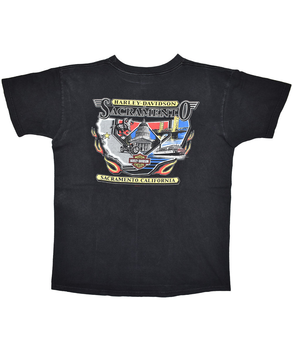 2002 HARLEY DAVIDSON Vintage T-Shirt (L)