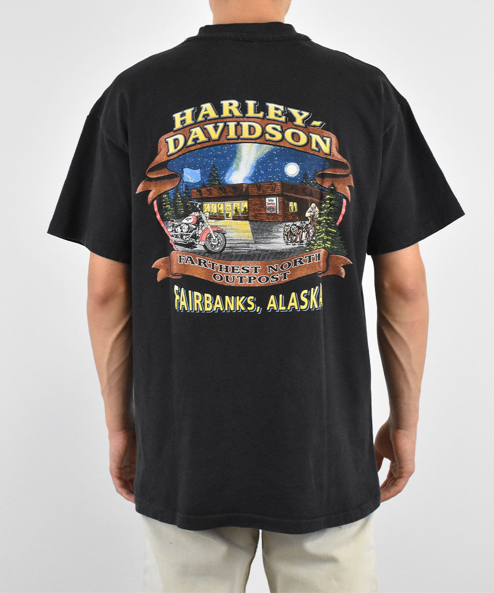 Camiseta HARLEY DAVIDSON 1996 (L)