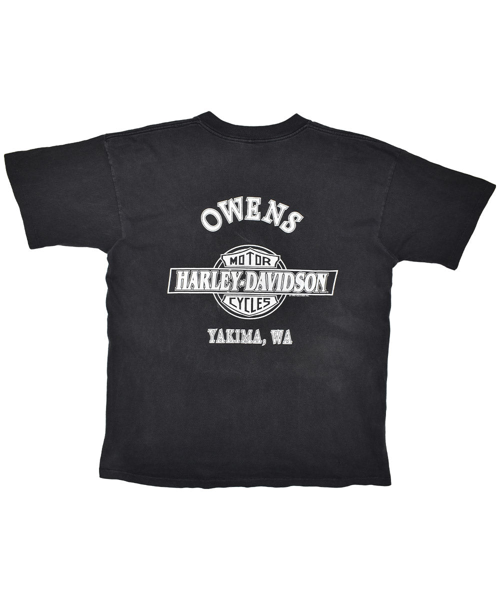 Camiseta vintage HARLEY DAVIDSON 1993 (XL)