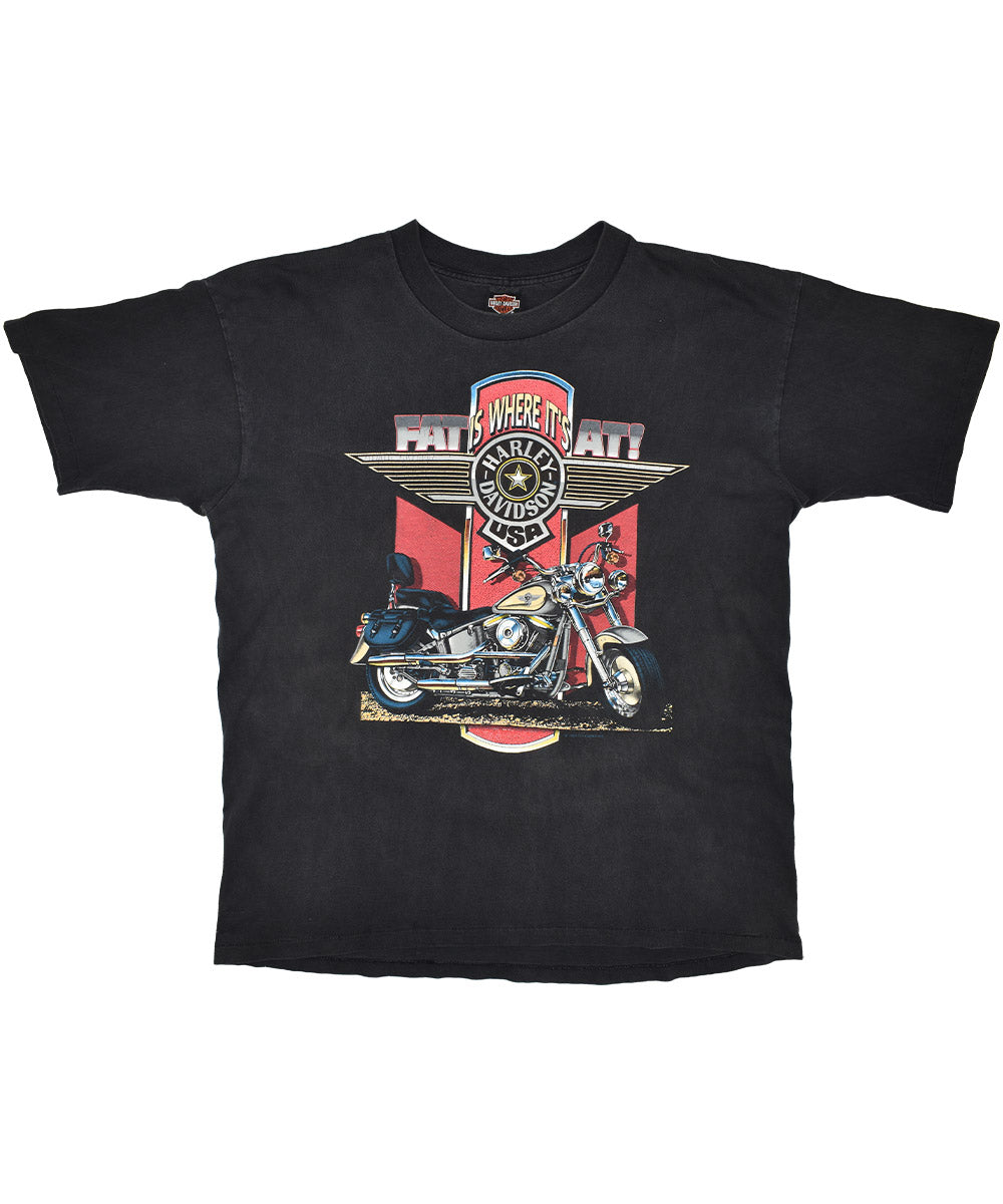 Camiseta vintage HARLEY DAVIDSON 1993 (XL)