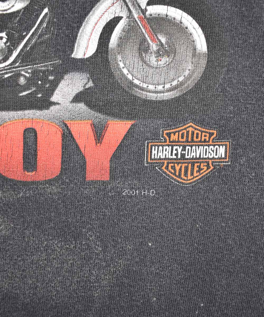 2001 HARLEY DAVIDSON Vintage T-Shirt (L)