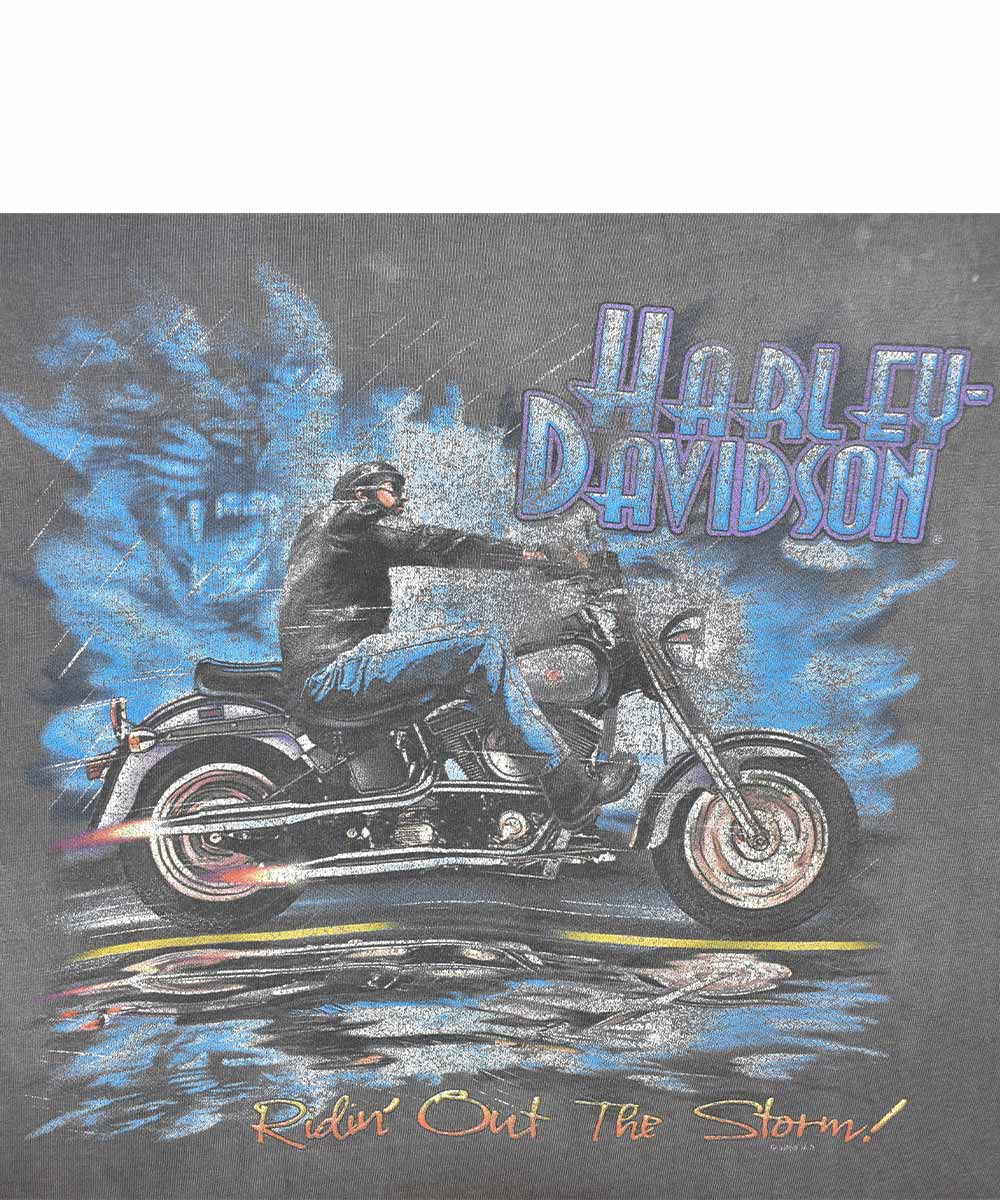 Camiseta Vintage HARLEY DAVIDSON (XL)