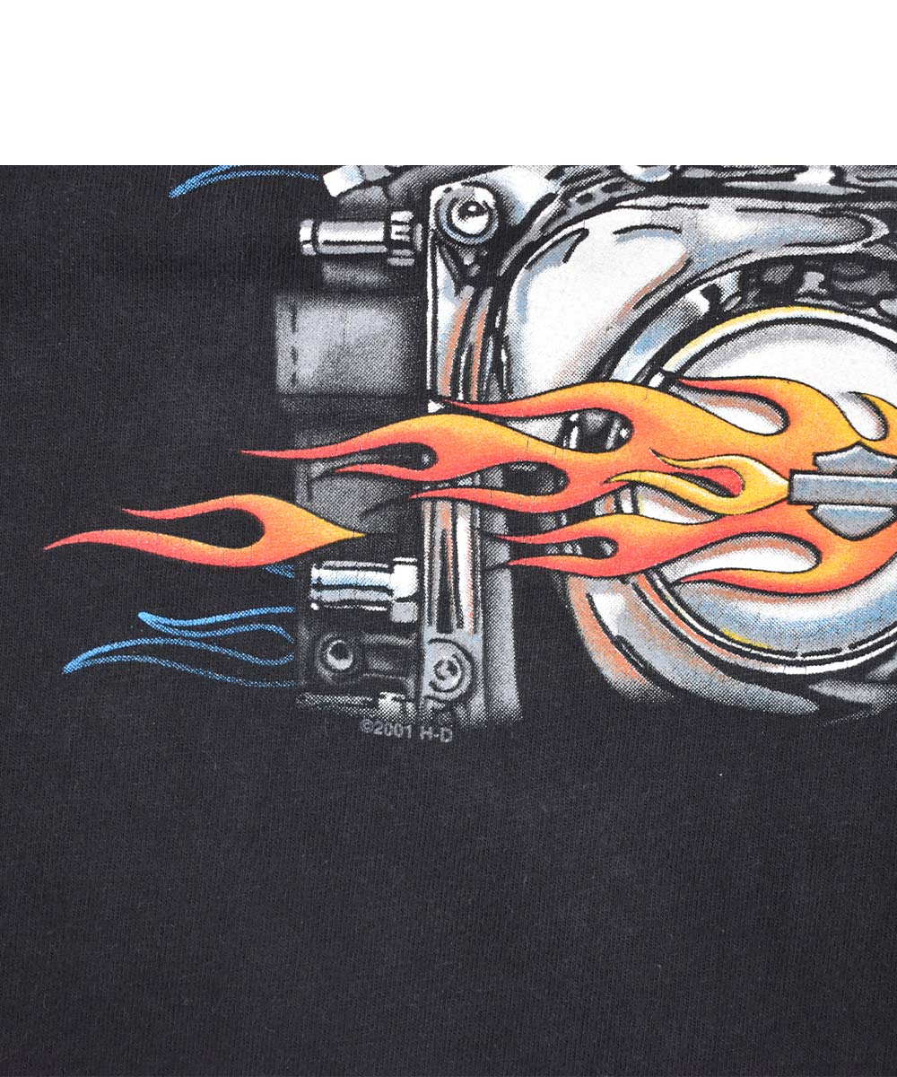 Camiseta vintage HARLEY DAVIDSON 2001 (L)