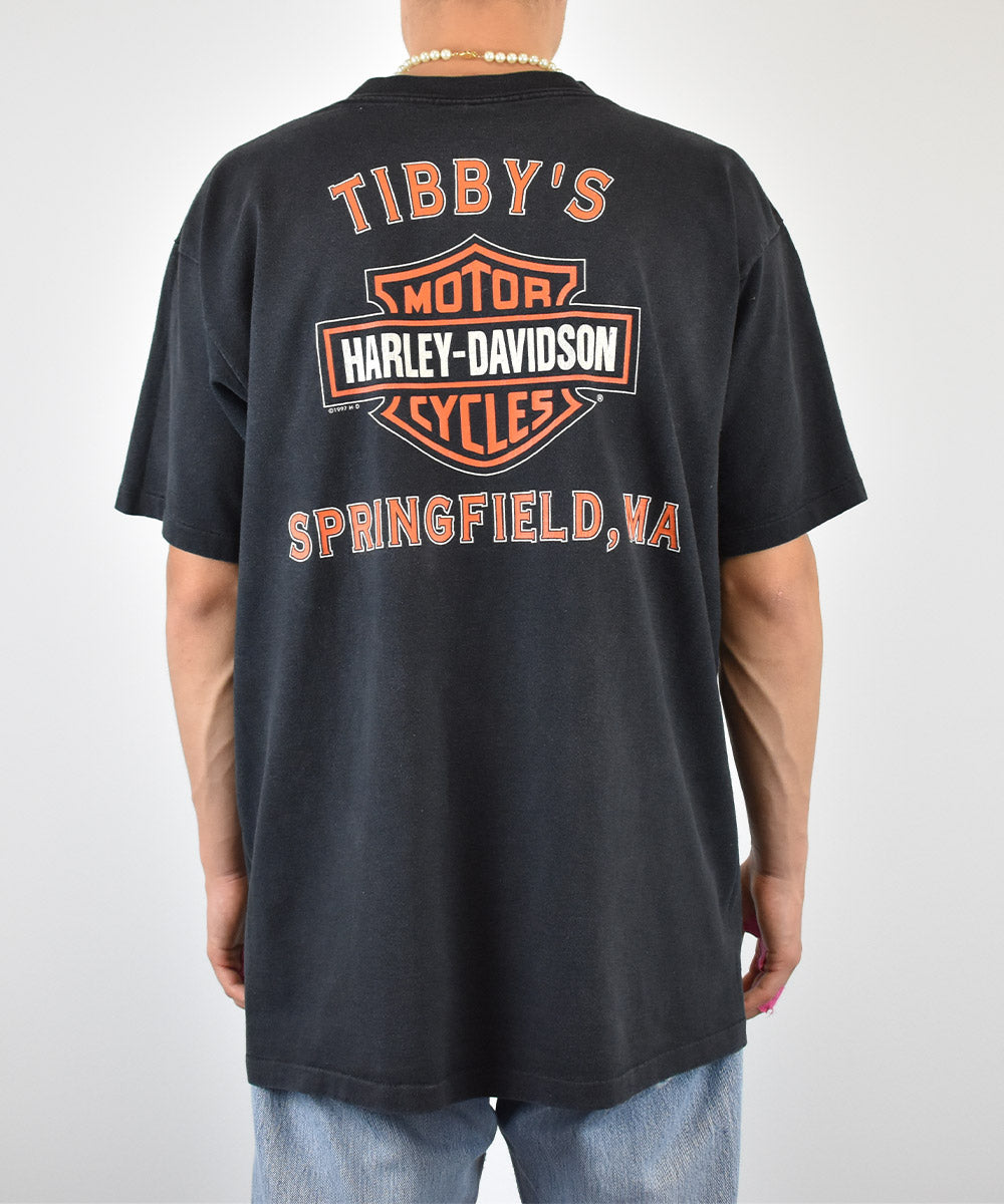 Camiseta HARLEY DAVIDSON 1997 (L)