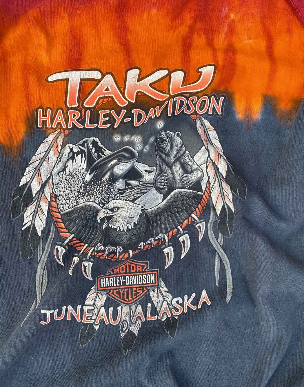 2001 HARLEY DAVIDSON Vintage Long-Sleeve T-Shirt (L)