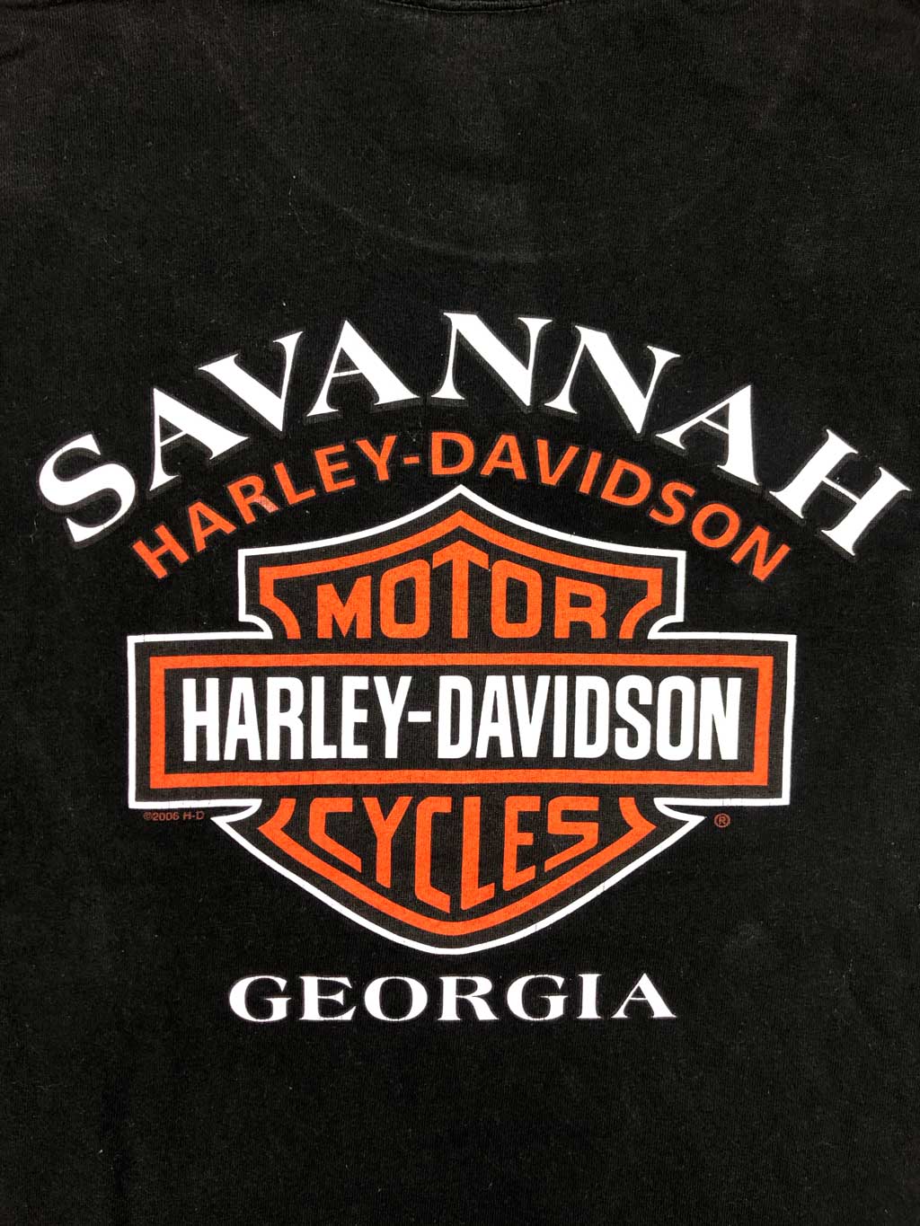 00s HARLEY DAVIDSON "Savannah" Camiseta Retro