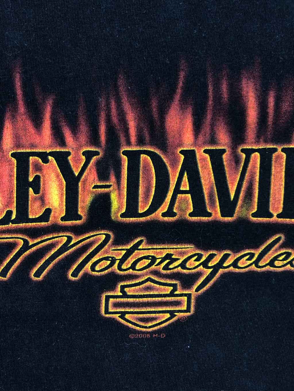 00s HARLEY DAVIDSON "Savannah" Camiseta Retro