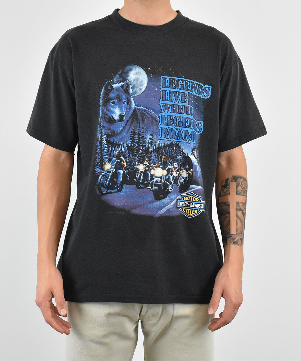 Camiseta Vintage HARLEY DAVIDSON 1991 (L)