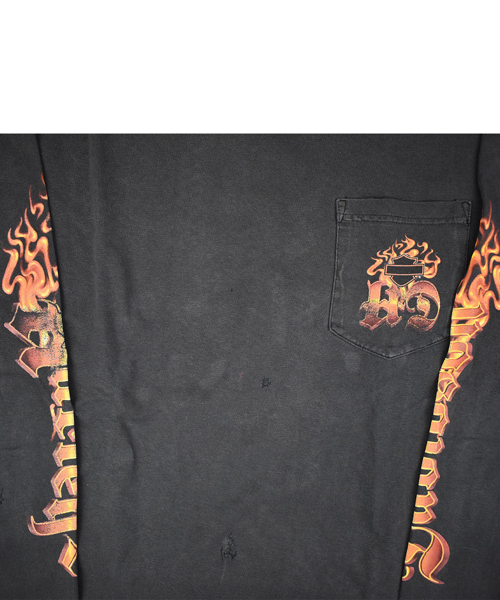 Camiseta Manga Larga Retro HARLEY DAVIDSON (L)