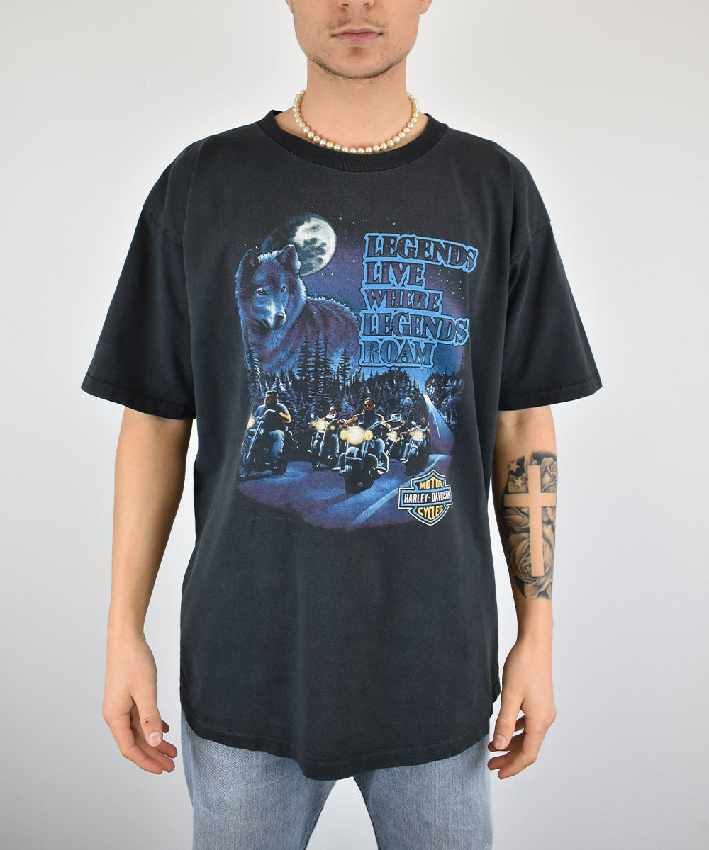 Camiseta Vintage HARLEY DAVIDSON 1991 (XL)