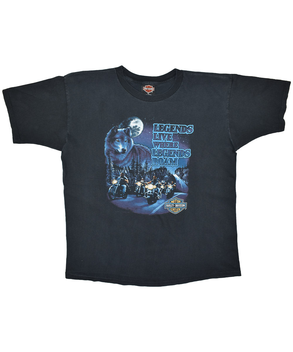 Camiseta Vintage HARLEY DAVIDSON 1991 (XL)