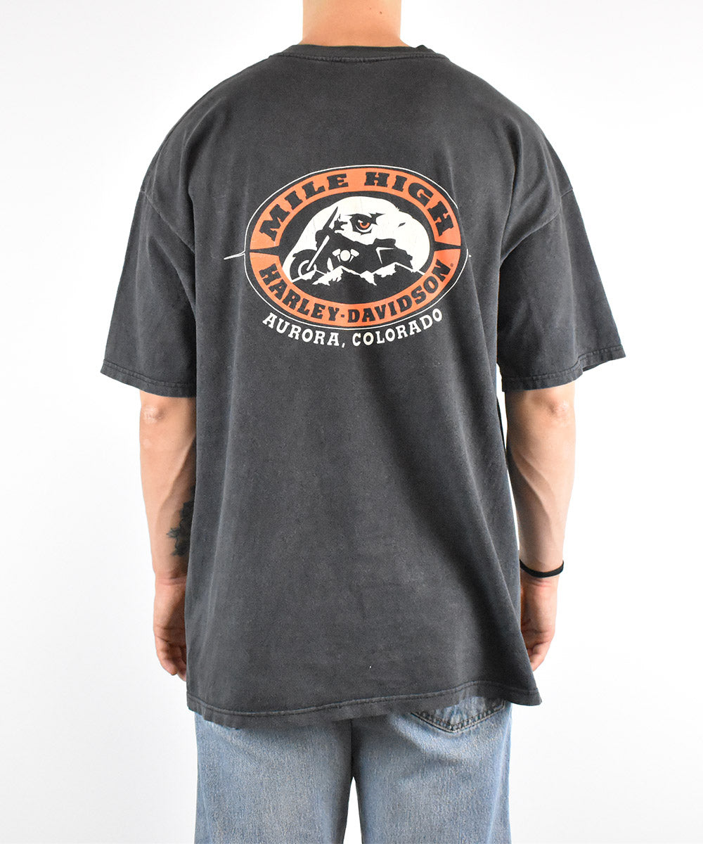 Camiseta HARLEY DAVIDSON 1999 (2XL)