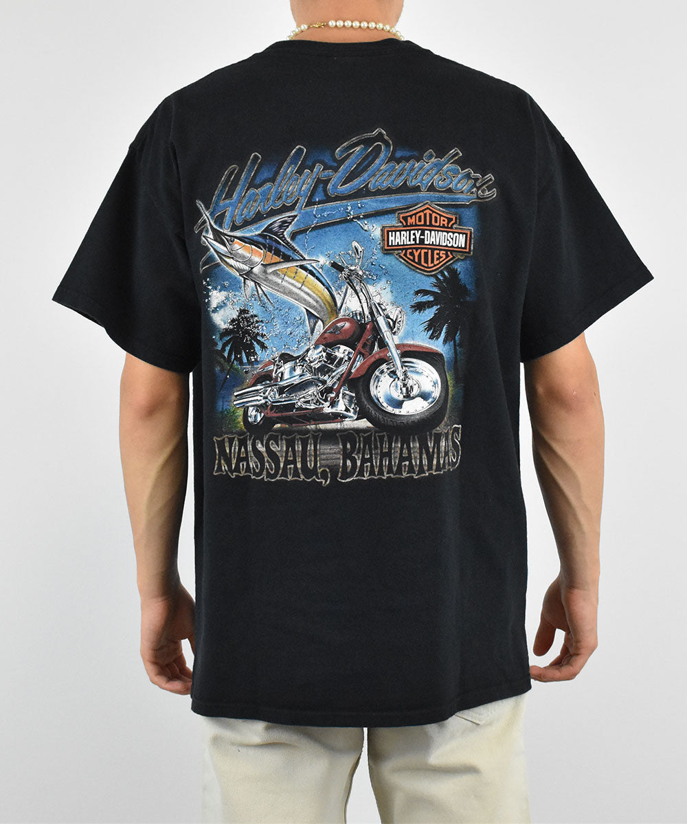 Camiseta HARLEY DAVIDSON 2000 (L)