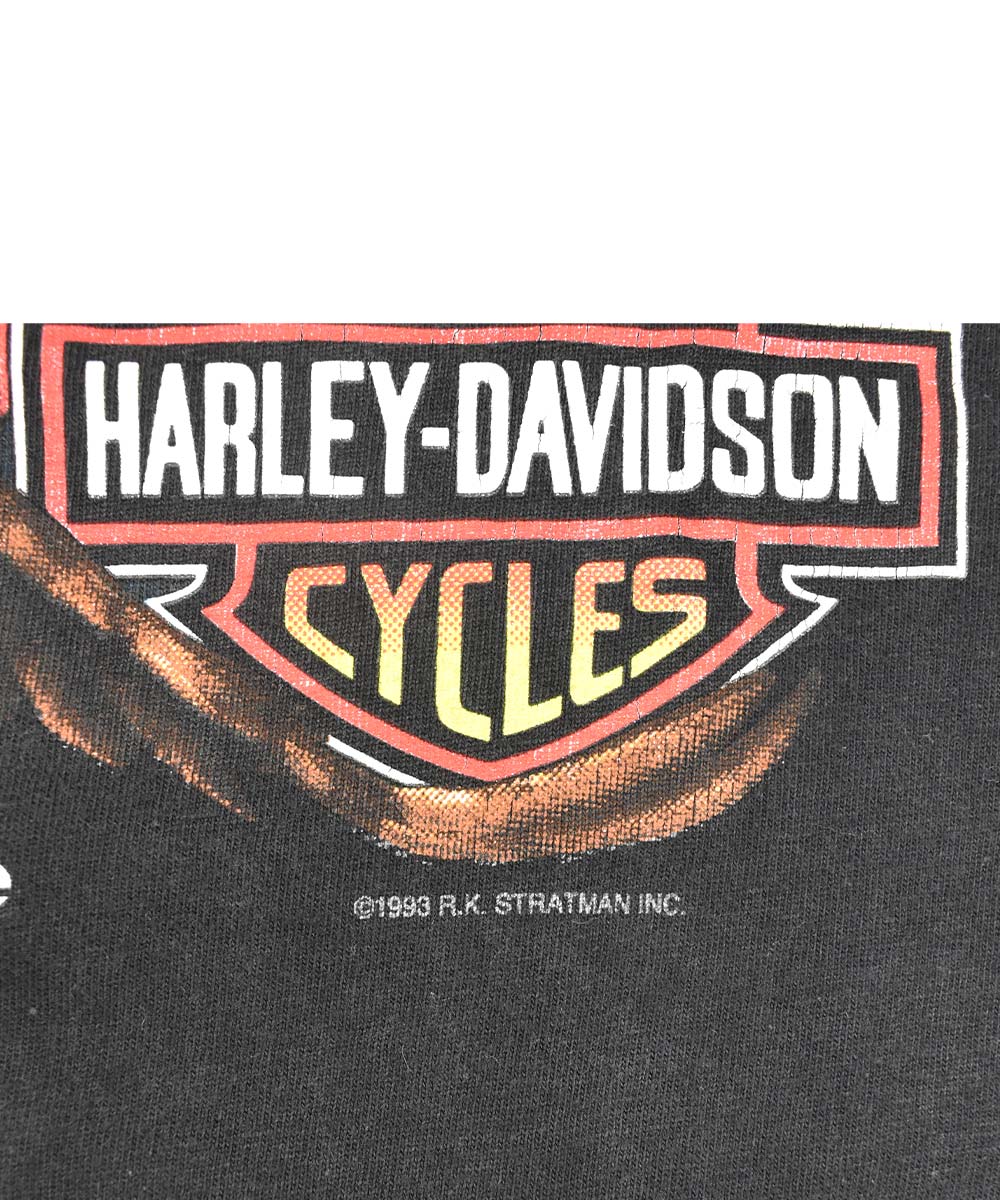 Camiseta Vintage HARLEY DAVIDSON 1993 (L)