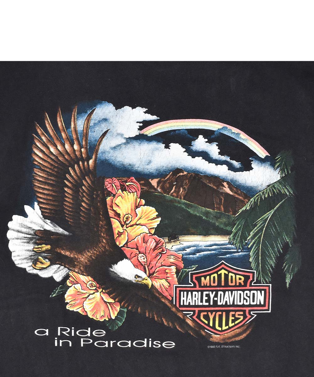 Camiseta Vintage HARLEY DAVIDSON 1993 (L)