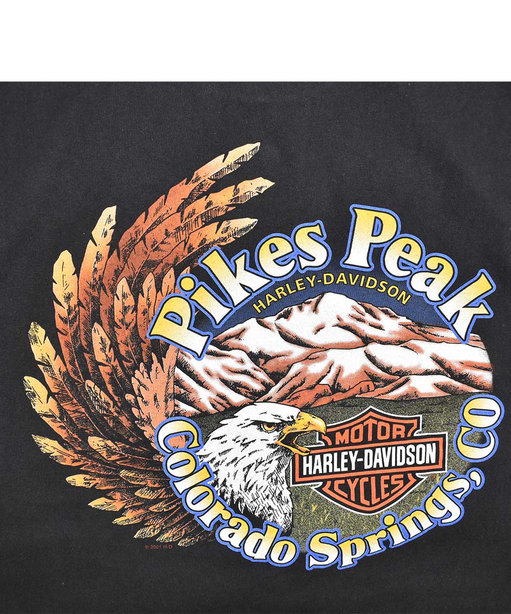 Camiseta sin mangas HARLEY DAVIDSON 2001 (L)