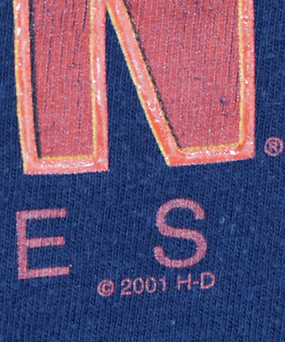 Camiseta vintage HARLEY DAVIDSON 2001 (L)
