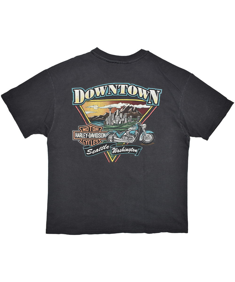 Camiseta Vintage HARLEY DAVIDSON 1995 (XL)