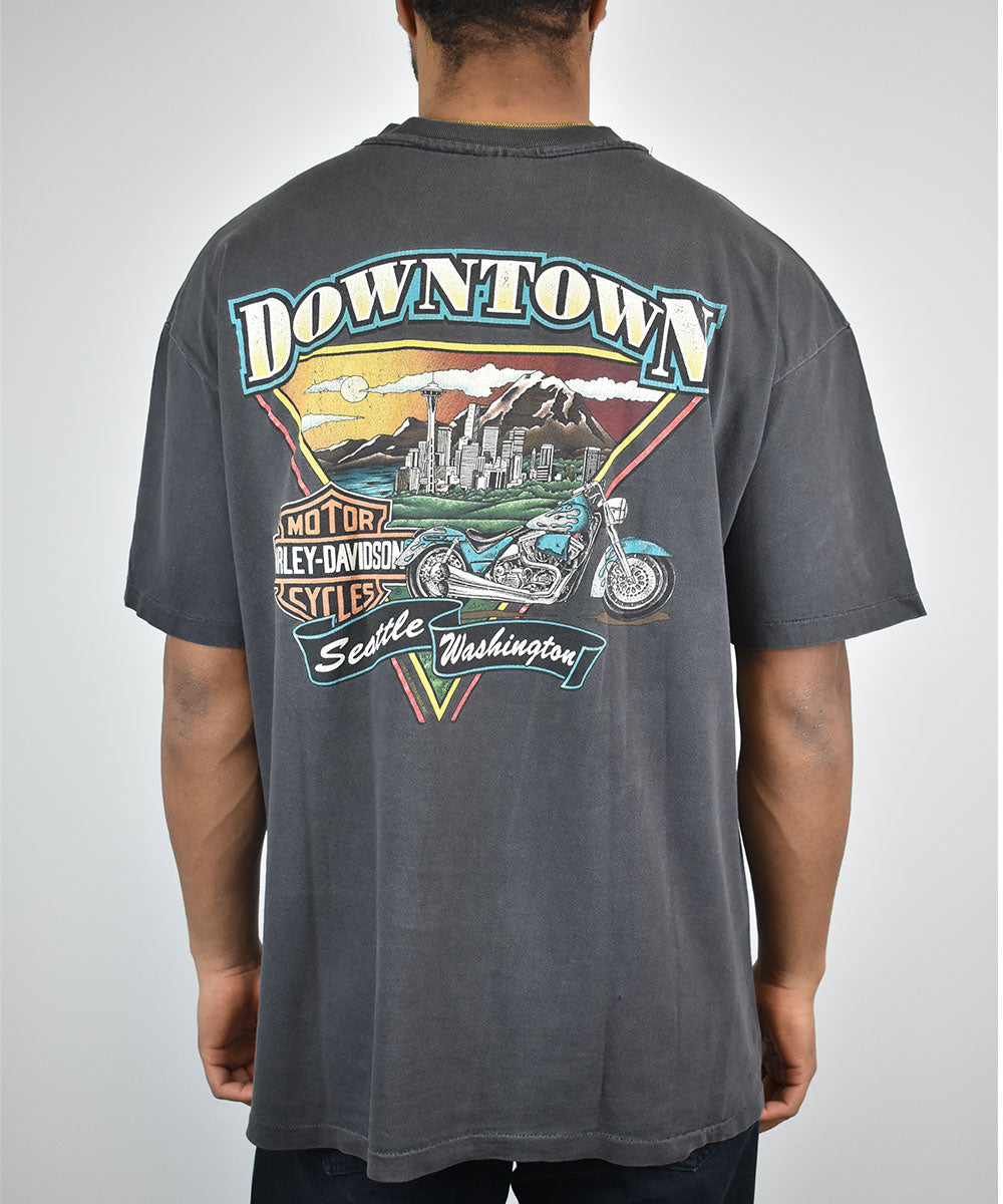 Camiseta Vintage HARLEY DAVIDSON 1995 (XL)