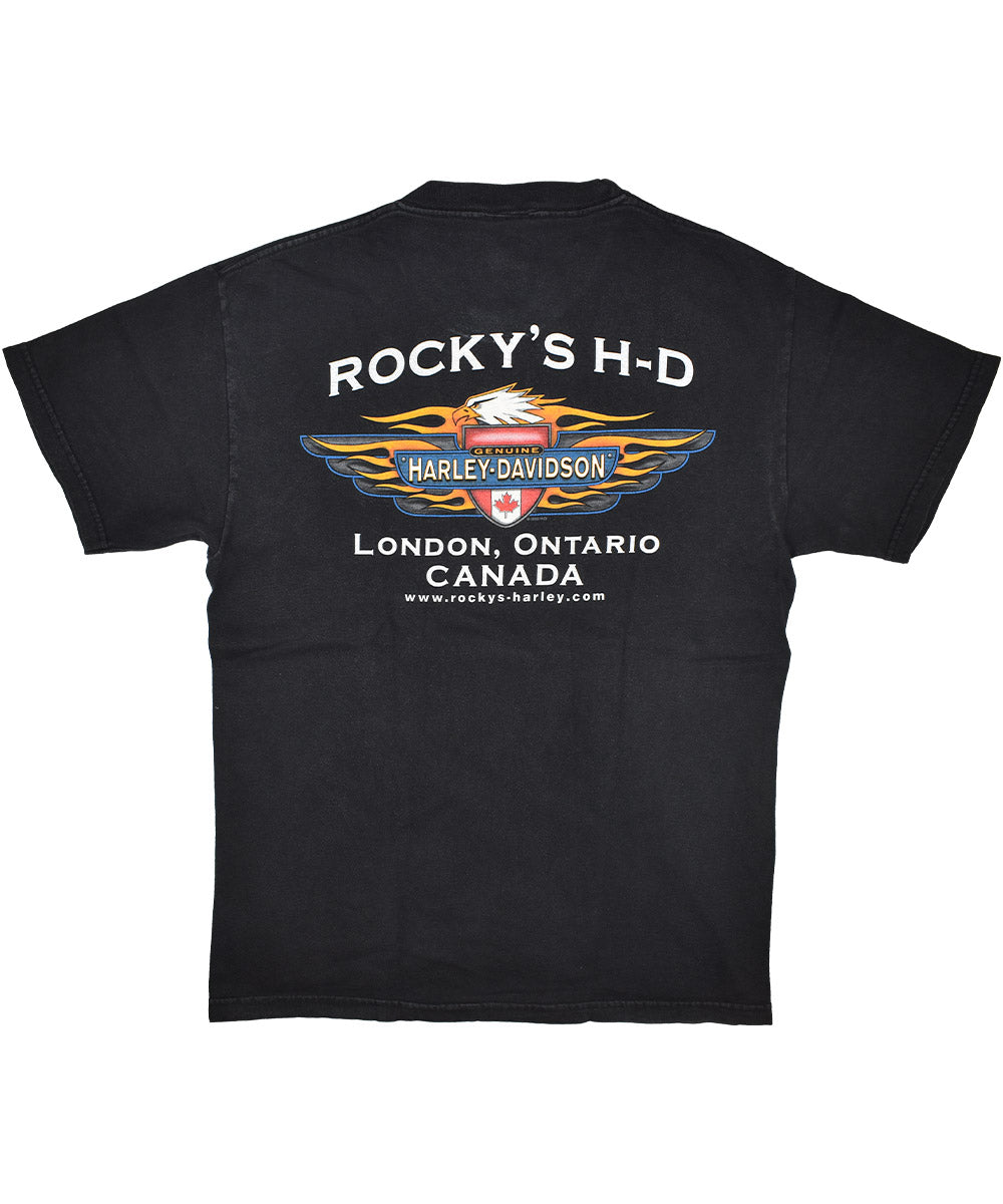 Camiseta Vintage HARLEY DAVIDSON 2002 (M)