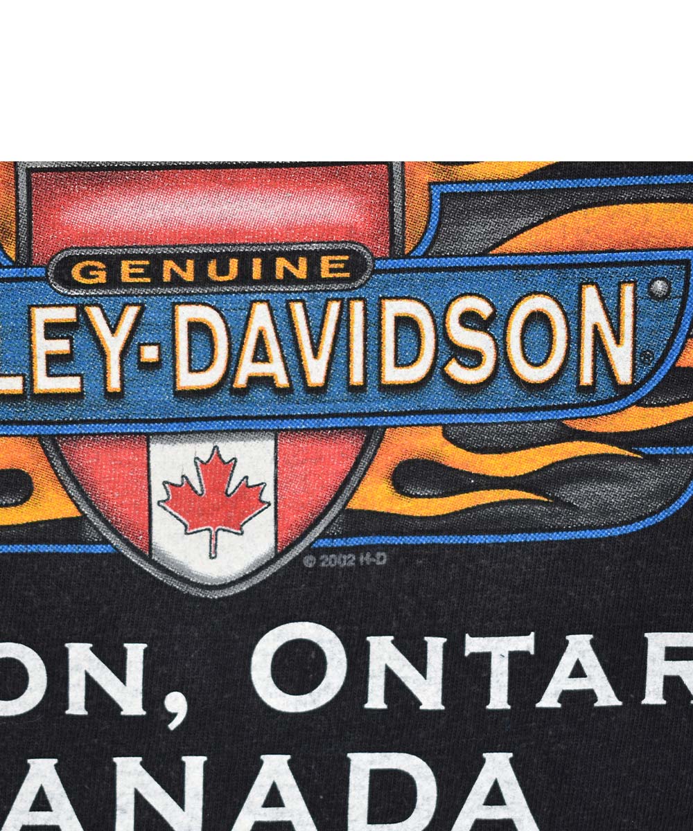 Camiseta Vintage HARLEY DAVIDSON 2002 (M)
