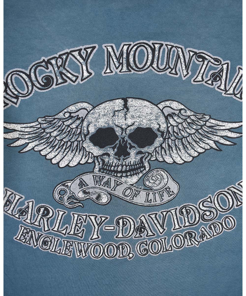 Camiseta vintage HARLEY DAVIDSON 1992 (L)