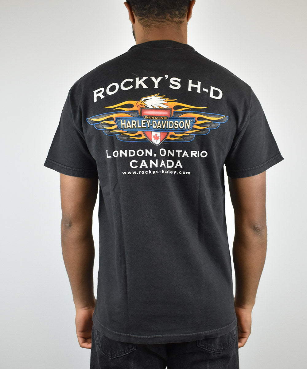 Camiseta Vintage HARLEY DAVIDSON 2002 (M)