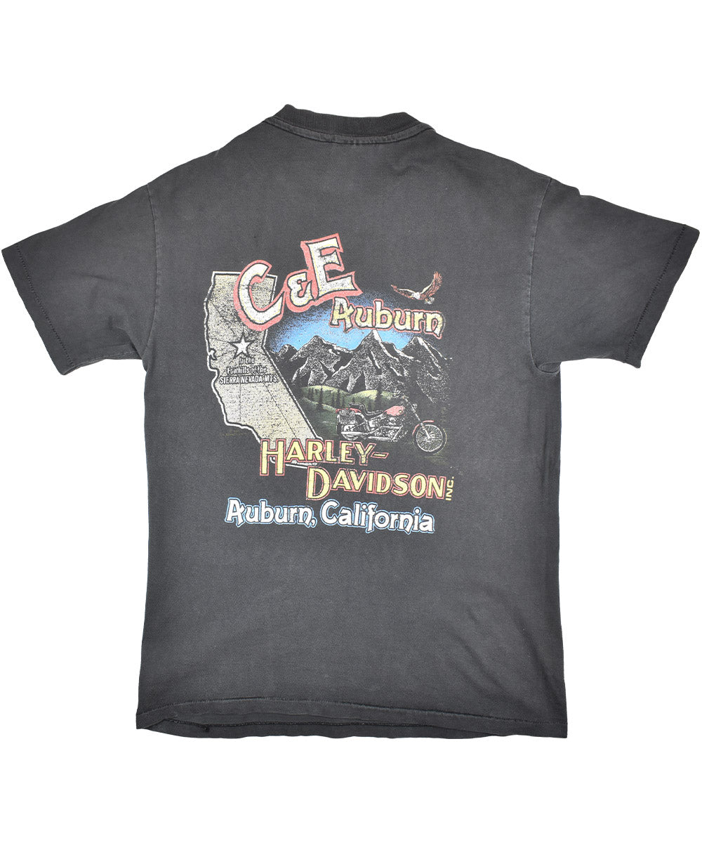 Camiseta HARLEY DAVIDSON 1992 (M)