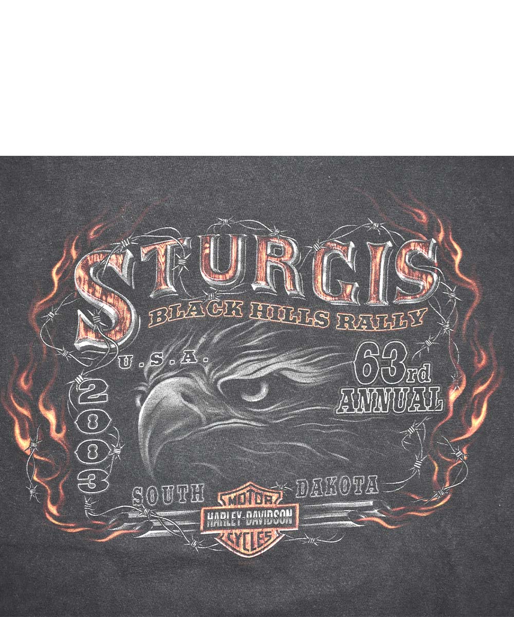 2003 HARLEY DAVIDSON Retro Long-Sleeve T-Shirt (XL)