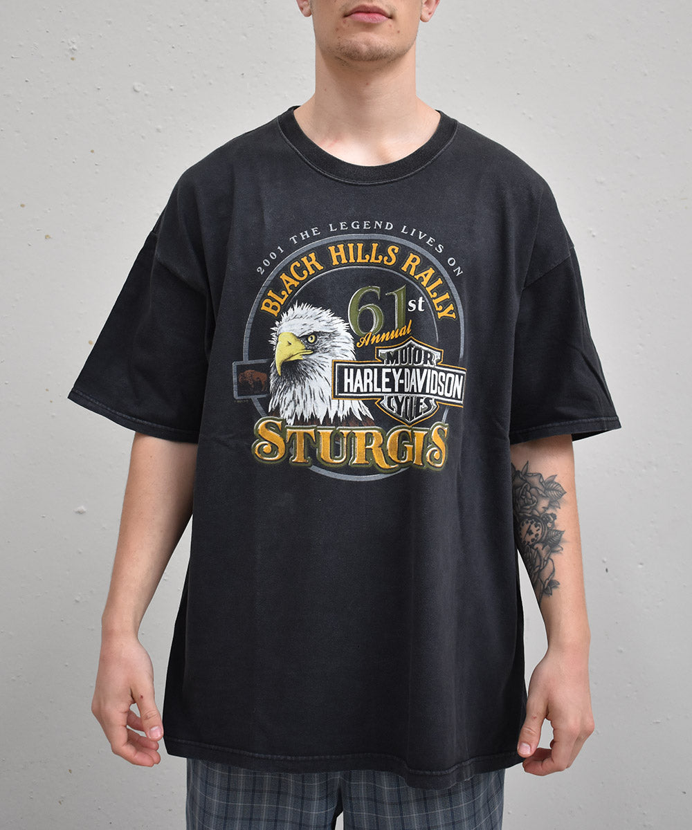 Camiseta HARLEY DAVIDSON 2001 (2XL)