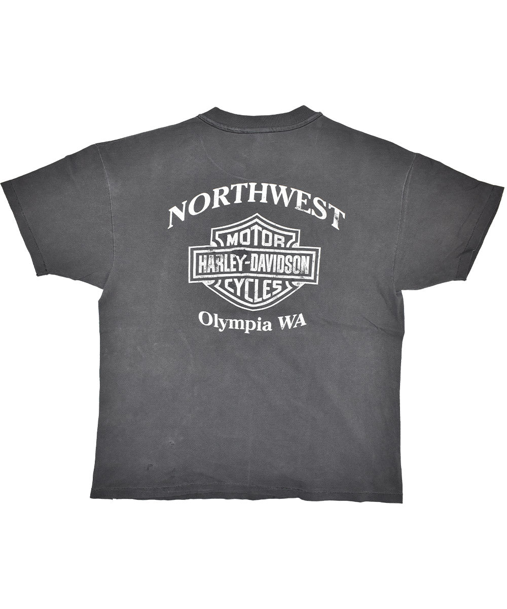 Camiseta Vintage HARLEY DAVIDSON (XL)