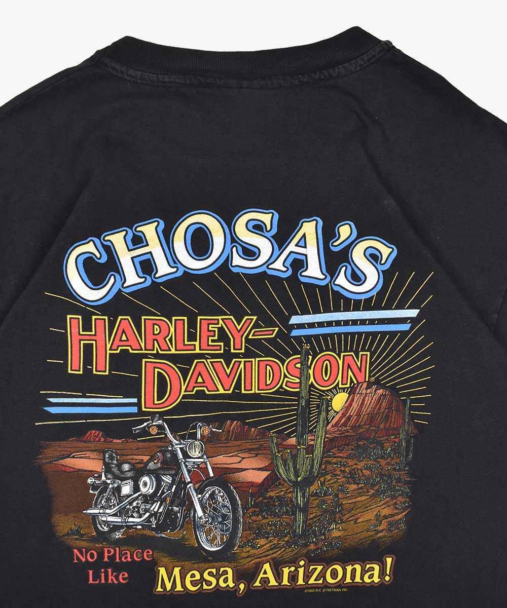 Camiseta HARLEY DAVIDSON 1993 (XL)