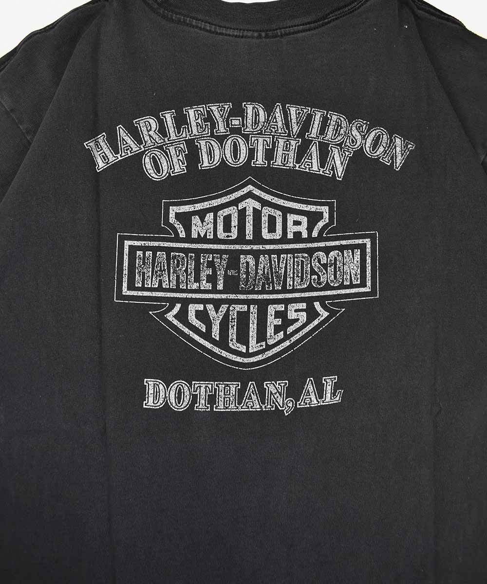 Camiseta HARLEY DAVIDSON 2001 (L)