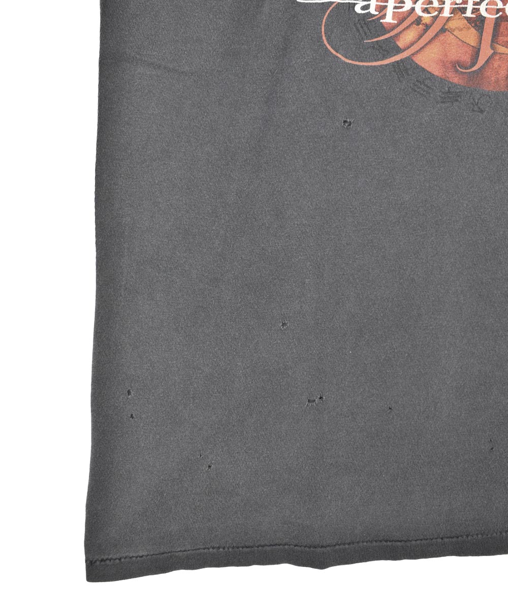1990s A PERFECT CIRCLE T-Shirt (L)