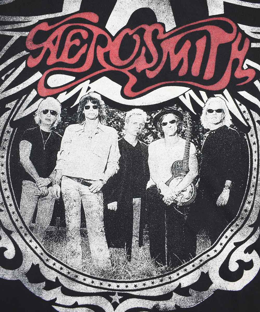 2009 AEROSMITH T-Shirt (L)