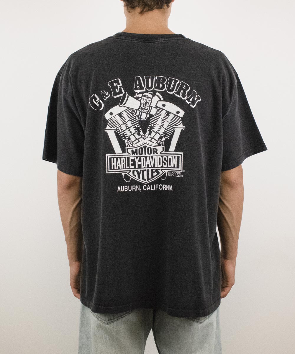 Camiseta HARLEY DAVIDSON 1993 (L)
