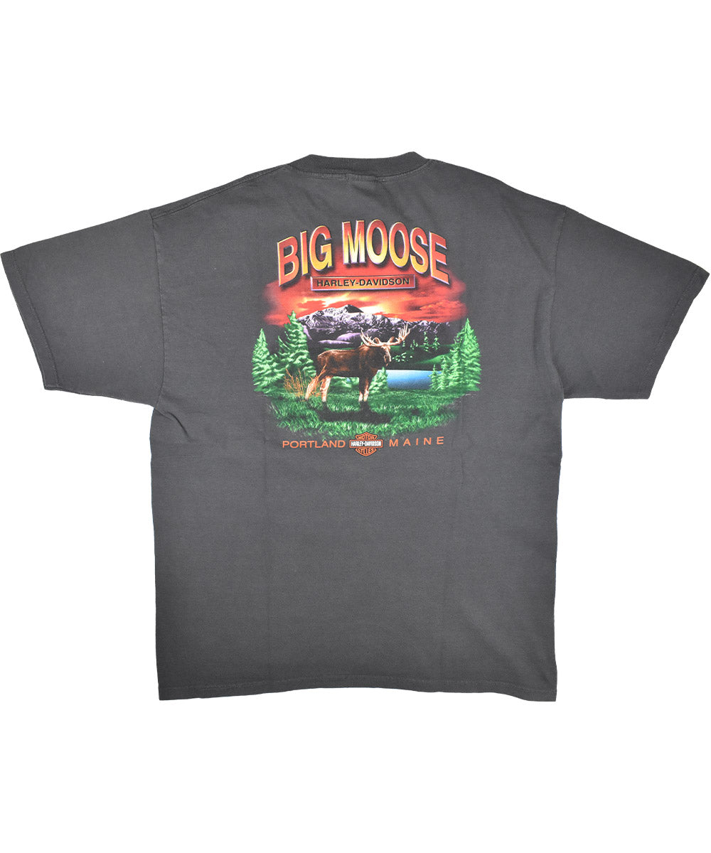1990s HARLEY DAVIDSON T-Shirt (XL)