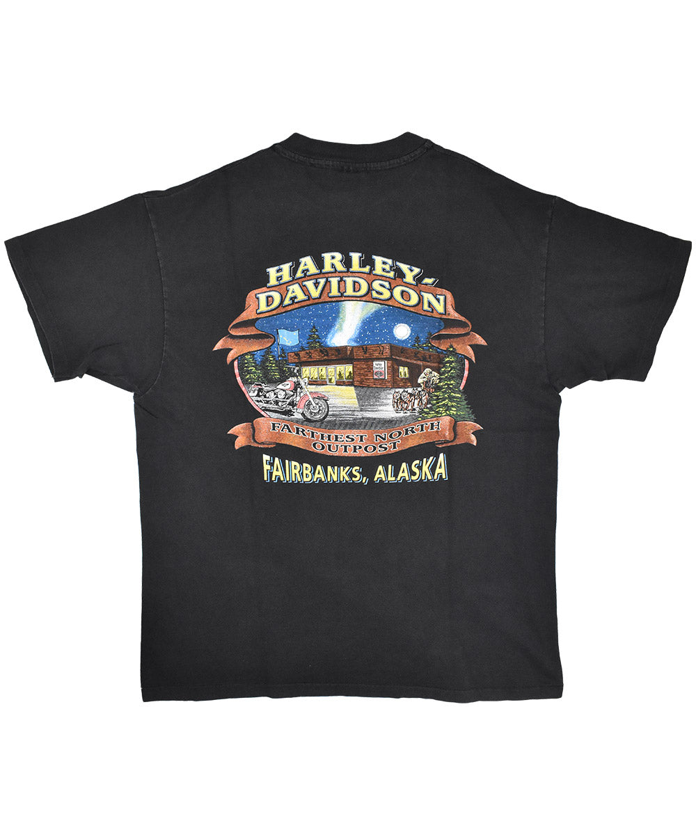 Camiseta HARLEY DAVIDSON 1996 (L)