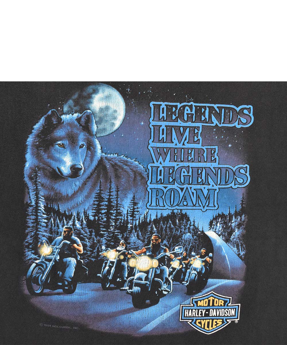 Camiseta HARLEY DAVIDSON 1991 (XL)