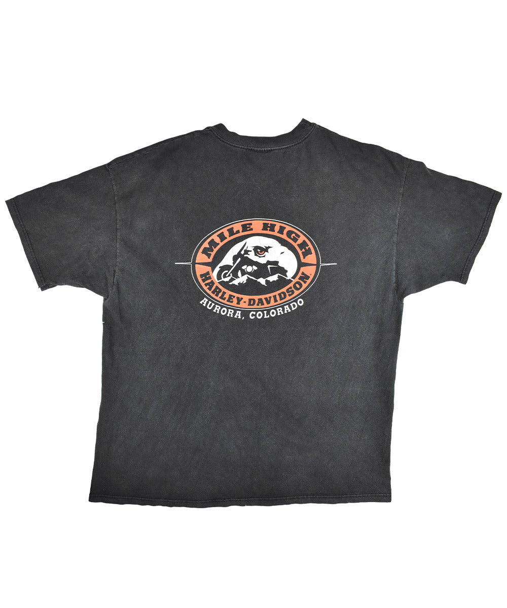 Camiseta HARLEY DAVIDSON 1999 (2XL)