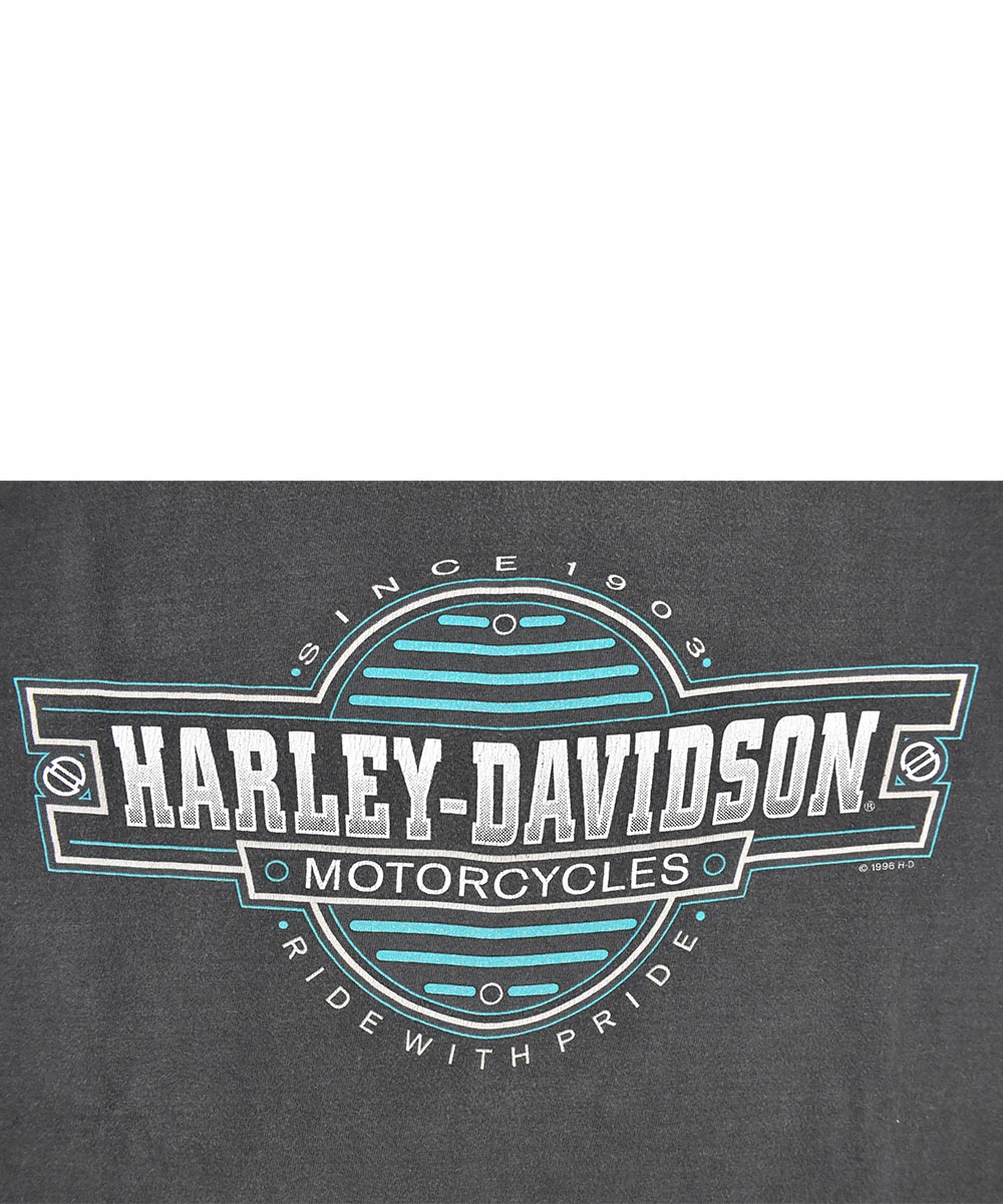 Camiseta Vintage HARLEY DAVIDSON 1996 (L)