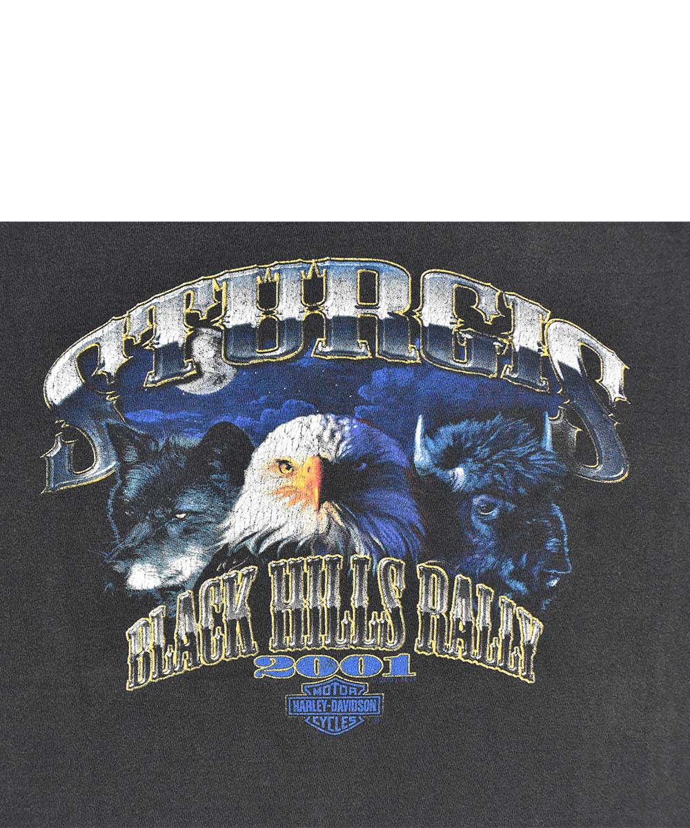 2001 HARLEY DAVIDSON Vintage T-Shirt (XL)