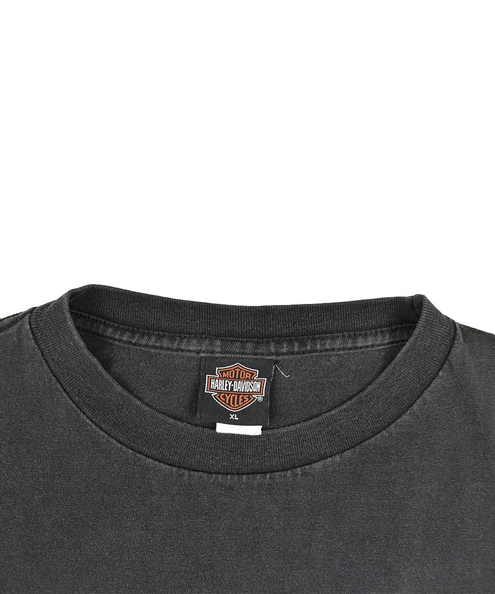 2001 HARLEY DAVIDSON Vintage T-Shirt (XL)