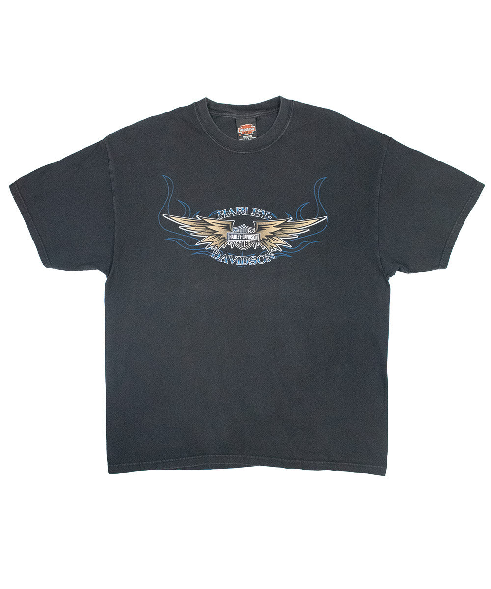Camiseta HARLEY DAVIDSON 2000 (XL)